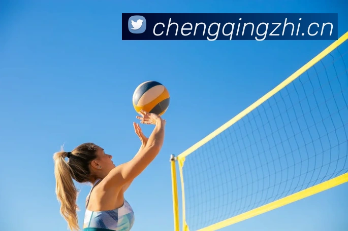 星空体育中国官方网站APP 封面图